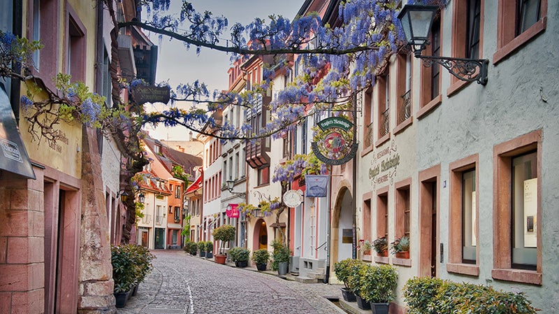 Bild Freiburg