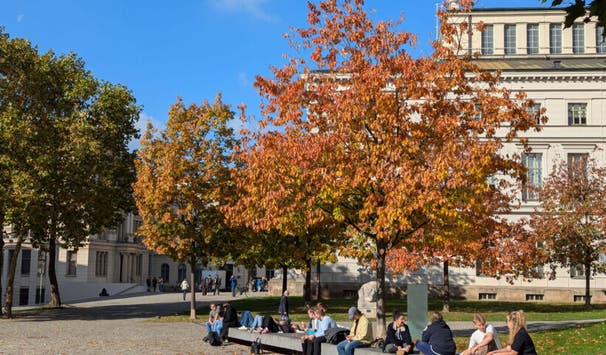 Universitätsplatz mit Löwengebäude (Foto: MLU/Max Kümmerling)