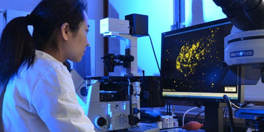 Die CAU hat in den letzten Jahren vier dynamische Forschungsschwerpunkte entwickelt, die auf der Wechselwirkung starker Disziplinen basieren. Foto: Jürgen Haacks, Uni Kiel