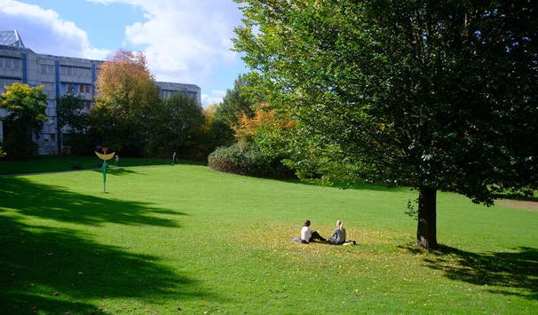 Freu Dich auf unsere Liegewiesen!