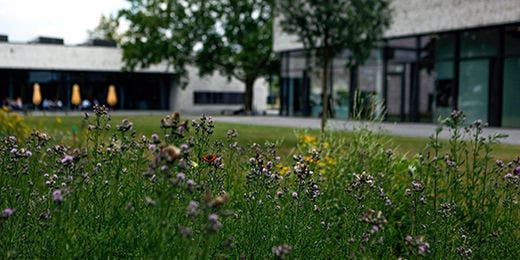 Campus der Hochschule Hamm-Lippstadt