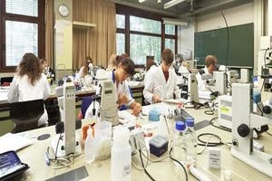 Die FAU ist die innovativste Univerität in Deutschland (Reuters-Ranking).