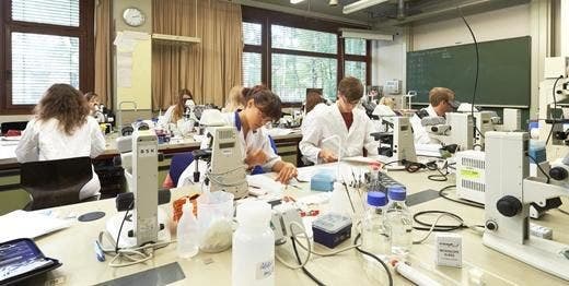 Die FAU ist die innovativste Univerität in Deutschland (Reuters-Ranking).