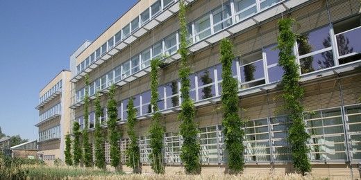 Hochschule Neubrandenburg - University of Applied Sciences