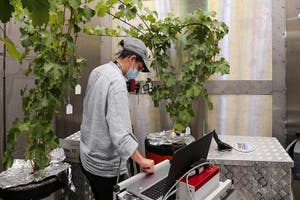 Learn how to manage mountain farming sustainably, using innovative technologies.