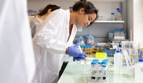 Students have access to state-of-the-art laboratories.