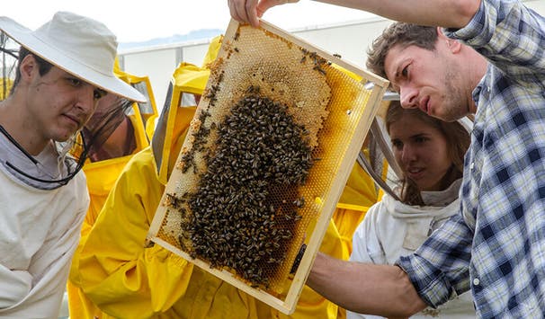 Optimales Betreuungsverhältnis in kleinen Gruppen