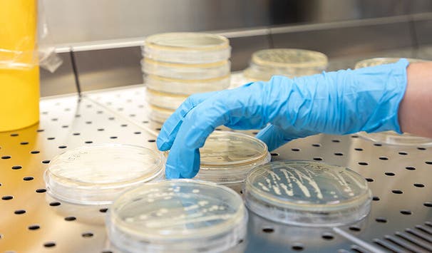 Focus on fermentation research