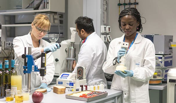 Students can choose from four profiles and a range of free choice courses to customize their study program.