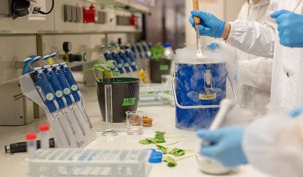 Moderne und hervorragend ausgestattete Forschungslabore 