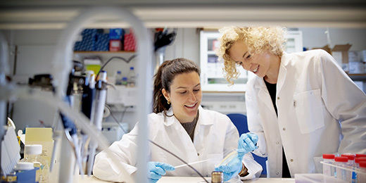 At the end of your master’s studies, you will perform an individual laboratory-based project work of up to one year in one of our research groups.