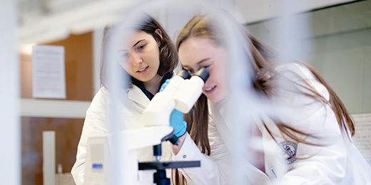 The Master's Programme in Molecular Biology contains many elements of active, problem-based learning and offers laboratory-intensive courses in modern course laboratories.