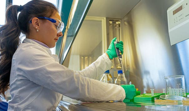 Arbeiten unter der Sterilwerkbank