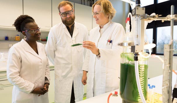 Fermentation mit Algen im Photobioreaktor