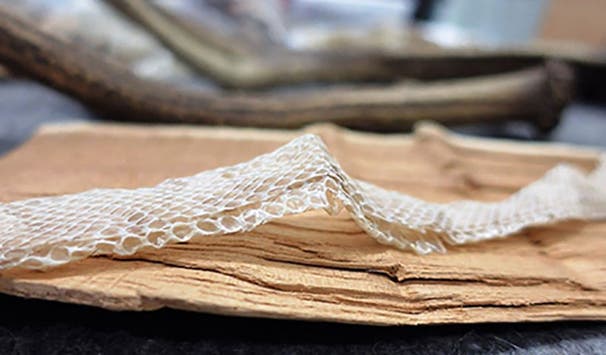 Materialsammlung Campus Lippstadt 