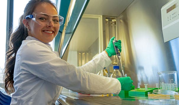 Arbeiten unter der Sterilwerkbank