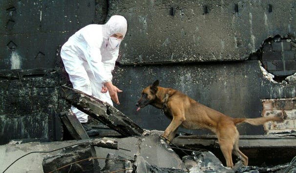 Zusammen mit der richtigen Spürnase im Dienst 