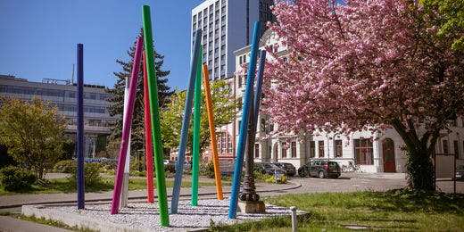 Frühling auf dem Campus