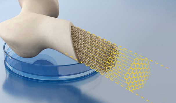 Entwickele den Organedruck der Zukunft!