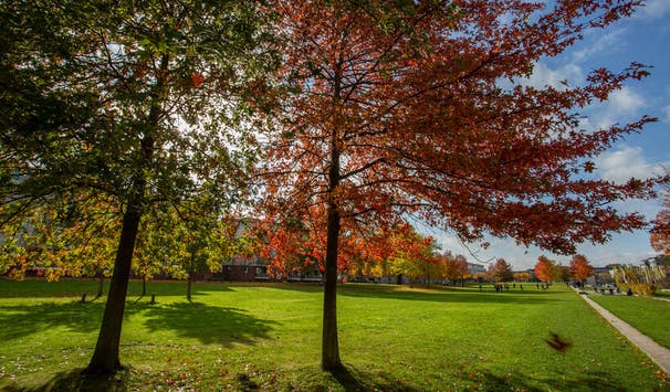 Carlebach-Park bei der TH Lübeck