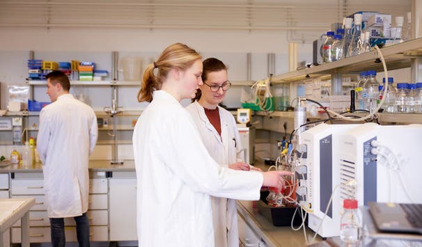 Studienschwerpunkt Technologie und Analytik