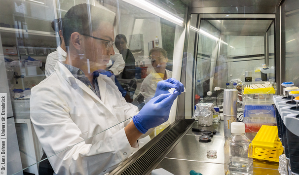 Während deiner Bachelorarbeit bist du ein aktiver Teil der laufenden Forschungsprojekte und bekommst ein Gespür für moderne Wissenschaft!