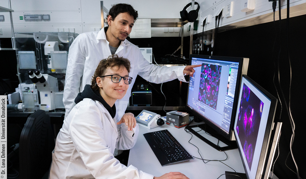 Während deiner Bachelorarbeit bist du ein aktiver Teil der laufenden Forschungsprojekte und bekommst ein Gespür für moderne Wissenschaft!