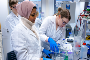 Schon früh im Studium wirst du in den begleitenden Praktika modernste Methodik kennenlernen.