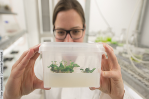 In zwei forschungsorientierten Projektarbeiten bereitest du dich methodisch und inhaltlich auf deine Masterarbeit vor.