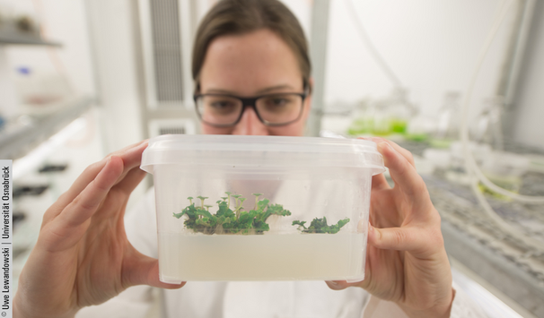 In zwei forschungsorientierten Projektarbeiten bereitest du dich methodisch und inhaltlich auf deine Masterarbeit vor. 