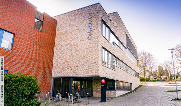 Das „Center for Cellular Nanoanalytics Osnabrück“ (CellNanOs) bietet eine einzigartige Kombination aus modernster technischer Ausstattung im Bereich Massenspektrometrie, Mikroskopie und Laborinfrastruktur. Hochmoderne Mikroskope wie ein Kryo-Elektronenmikroskop oder besondere Fluoreszenzmikroskope wie das Lattice Light Sheet Mikroskop bieten unendliche Anwendungsmöglichkeiten und werden auch bereits von unseren Masterstudierenden in Praktika, Projektarbeiten oder der Abschlussarbeit genutzt. Damit hast du Zugriff auf eine deutschlandweit einzigartige Methoden- und Geräteauswahl.