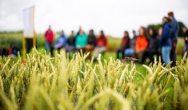 Praxisorientierte Lehre auf einem Versuchsfeld (Foto: Sonja Rode)