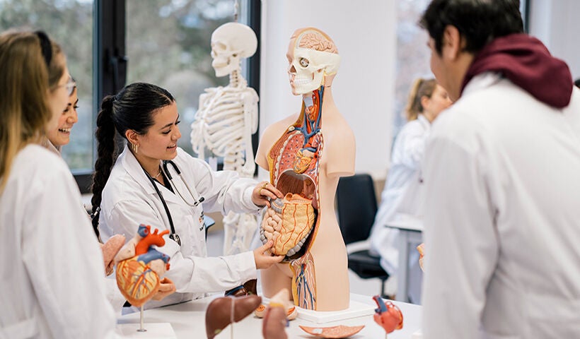 MD Doctor of Medicine