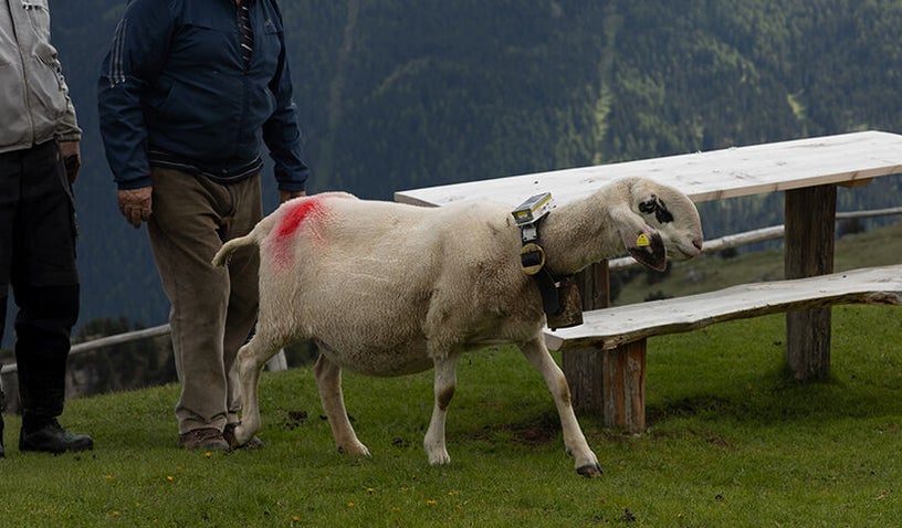 Smart Sustainable Agriculture Systems in Mountain Areas