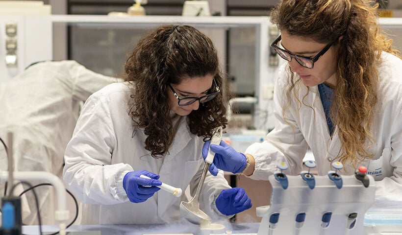 Food Sciences for Innovation and Authenticity