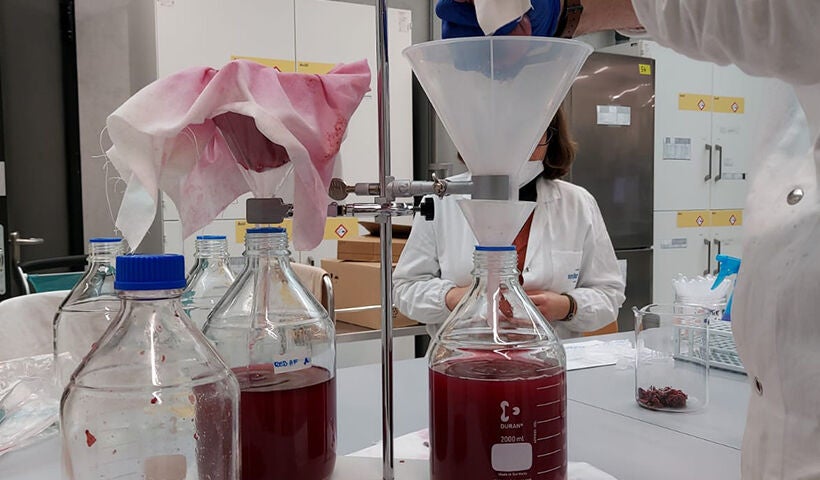 Lebensmittelwissenschaften, Önologie und Gastronomie