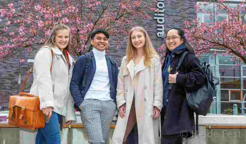 International Business Administration (Bachelor)