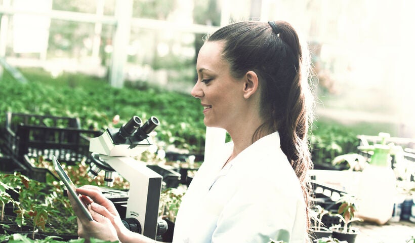 Ernährungswissenschaften