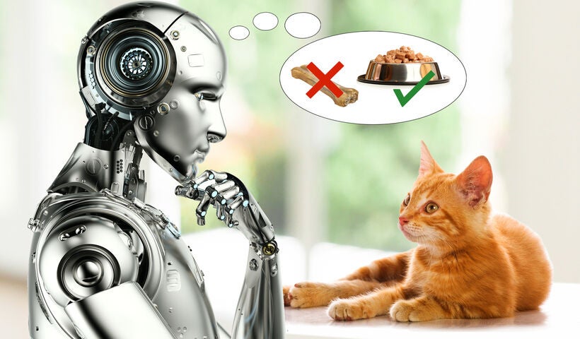 Künstliche Intelligenz in den Ingenieurwissenschaften