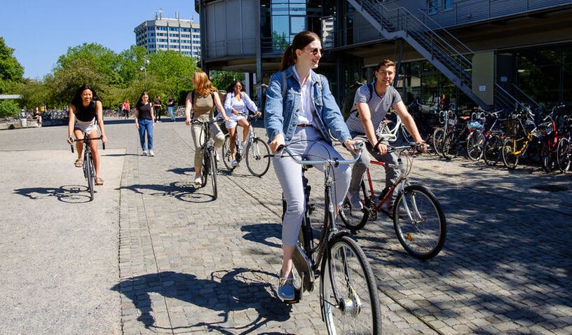 Betriebswirtschaftslehre (BWL)