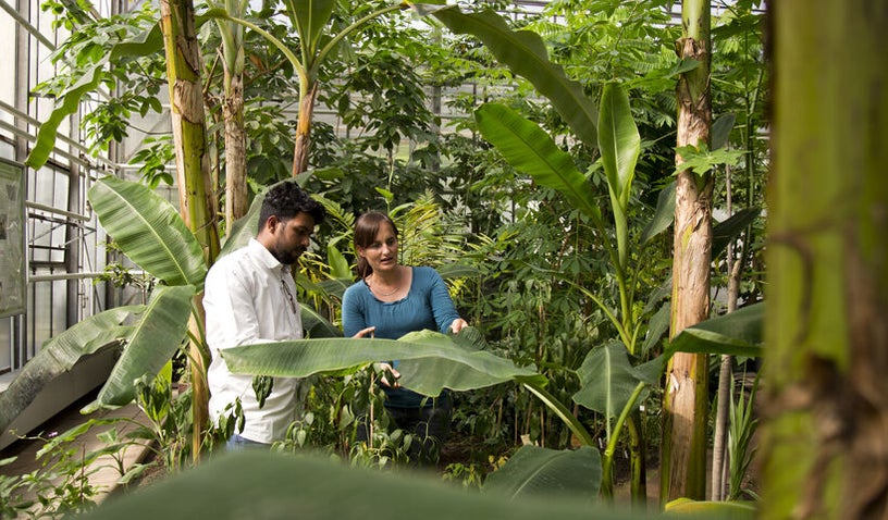 Agriculture, Ecology and Societies