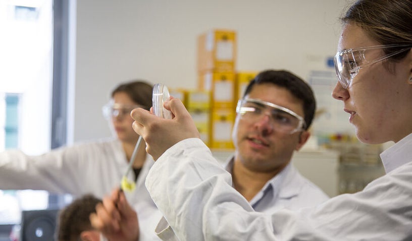 Chemie- und Bioingenieurwesen
