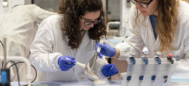 Food Sciences for Innovation and Authenticity