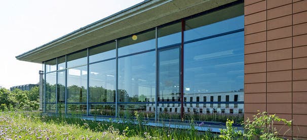 Rechtswissenschaft