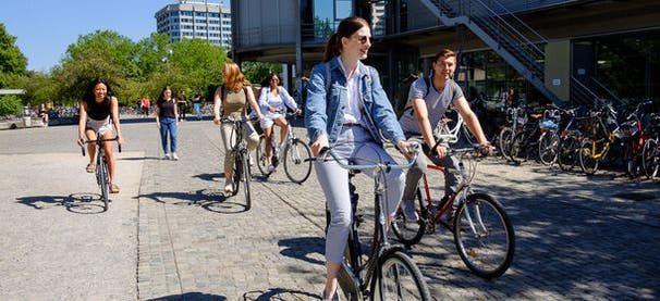 Betriebswirtschaftslehre (BWL)