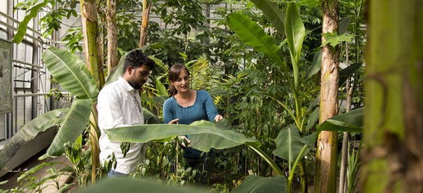 Agriculture, Ecology and Societies