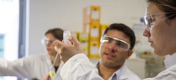 Chemie- und Bioingenieurwesen